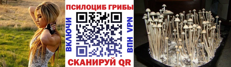 Псилоцибиновые грибы Cubensis  цены наркотик  Завитинск 